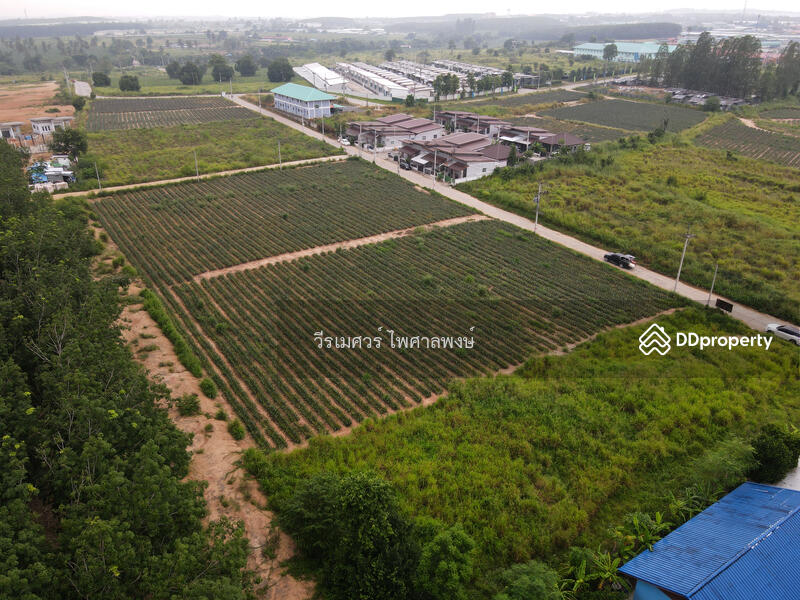 ขายถูก! ที่ดิน—แหล่งนิคมอุตสาหกรรม Eastern Seaboard จ.ระยอง (เหมาะทำบ้านจัดสรร) 47-0-16 ไร่