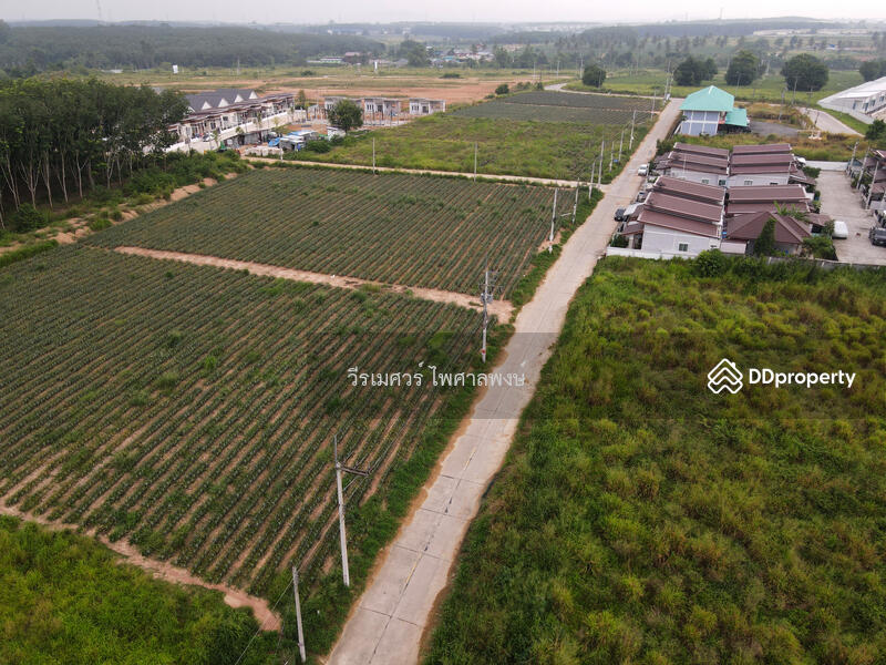 ขายถูก! ที่ดิน—แหล่งนิคมอุตสาหกรรม Eastern Seaboard จ.ระยอง (เหมาะทำบ้านจัดสรร) 47-0-16 ไร่