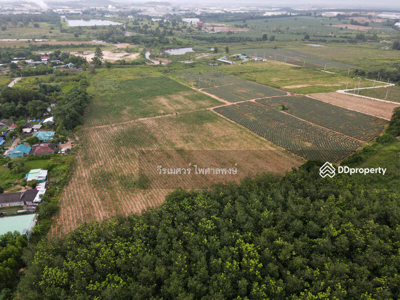 ขายถูก! ที่ดิน—แหล่งนิคมอุตสาหกรรม Eastern Seaboard จ.ระยอง (เหมาะทำบ้านจัดสรร) 47-0-16 ไร่
