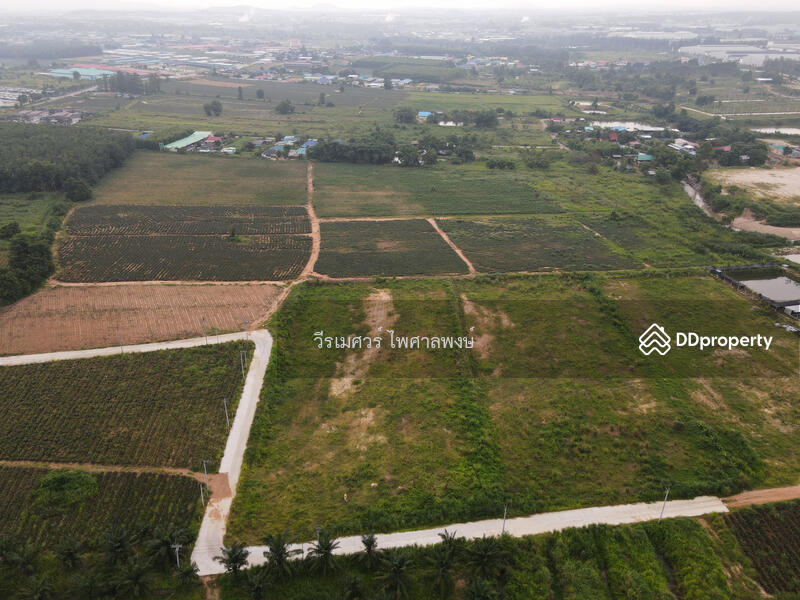 ขายถูก! ที่ดิน—แหล่งนิคมอุตสาหกรรม Eastern Seaboard จ.ระยอง (เหมาะทำบ้านจัดสรร) 47-0-16 ไร่