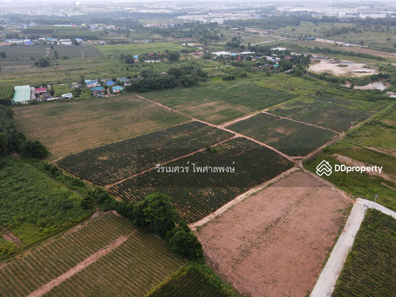 ขายถูก! ที่ดิน—แหล่งนิคมอุตสาหกรรม Eastern Seaboard จ.ระยอง (เหมาะทำบ้านจัดสรร) 47-0-16 ไร่