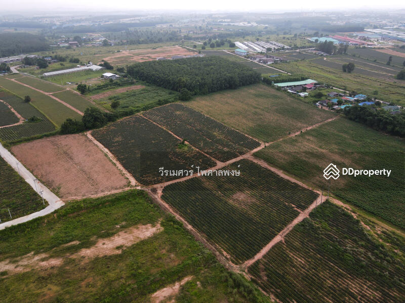 ขายถูก! ที่ดิน—แหล่งนิคมอุตสาหกรรม Eastern Seaboard จ.ระยอง (เหมาะทำบ้านจัดสรร) 47-0-16 ไร่