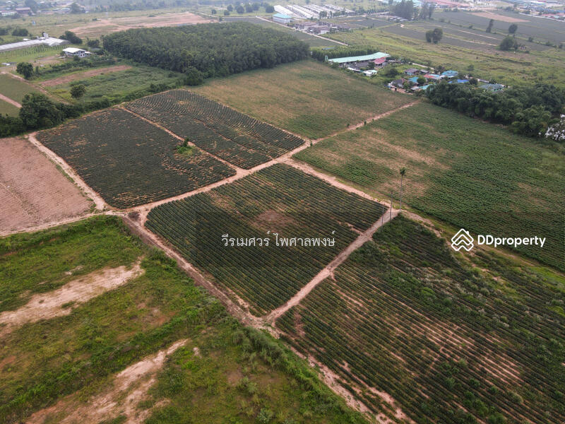 ขายถูก! ที่ดิน—แหล่งนิคมอุตสาหกรรม Eastern Seaboard จ.ระยอง (เหมาะทำบ้านจัดสรร) 47-0-16 ไร่