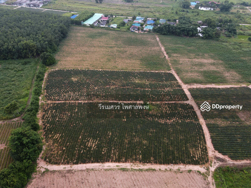 ขายถูก! ที่ดิน—แหล่งนิคมอุตสาหกรรม Eastern Seaboard จ.ระยอง (เหมาะทำบ้านจัดสรร) 47-0-16 ไร่