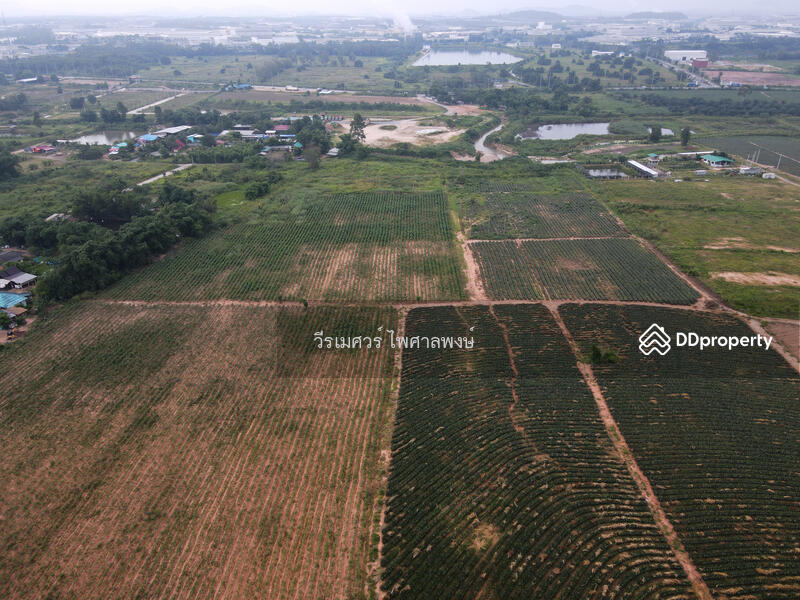 ขายถูก! ที่ดิน—แหล่งนิคมอุตสาหกรรม Eastern Seaboard จ.ระยอง (เหมาะทำบ้านจัดสรร) 47-0-16 ไร่