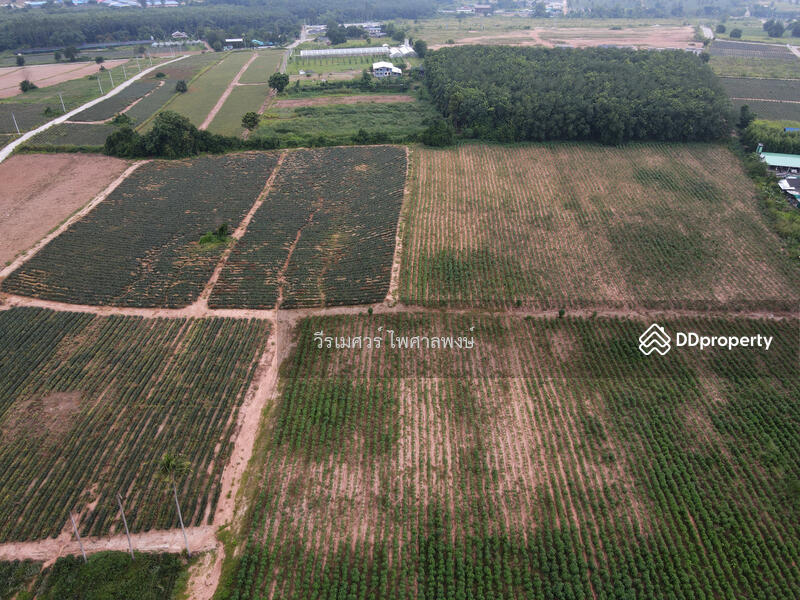 ขายถูก! ที่ดิน—แหล่งนิคมอุตสาหกรรม Eastern Seaboard จ.ระยอง (เหมาะทำบ้านจัดสรร) 47-0-16 ไร่