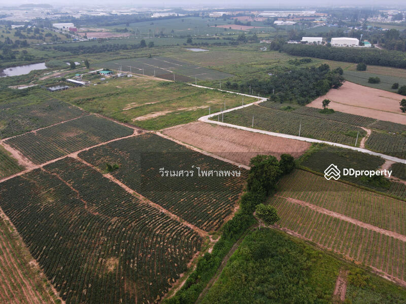 ขายถูก! ที่ดิน—แหล่งนิคมอุตสาหกรรม Eastern Seaboard จ.ระยอง (เหมาะทำบ้านจัดสรร) 47-0-16 ไร่