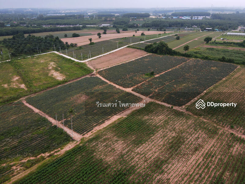 ขายถูก! ที่ดิน—แหล่งนิคมอุตสาหกรรม Eastern Seaboard จ.ระยอง (เหมาะทำบ้านจัดสรร) 47-0-16 ไร่