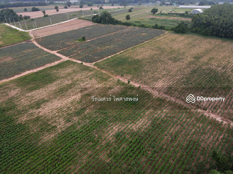 ขายถูก! ที่ดิน—แหล่งนิคมอุตสาหกรรม Eastern Seaboard จ.ระยอง (เหมาะทำบ้านจัดสรร) 47-0-16 ไร่