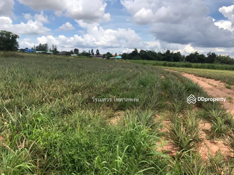 ขายถูก! ที่ดิน—แหล่งนิคมอุตสาหกรรม Eastern Seaboard จ.ระยอง (เหมาะทำบ้านจัดสรร) 47-0-16 ไร่