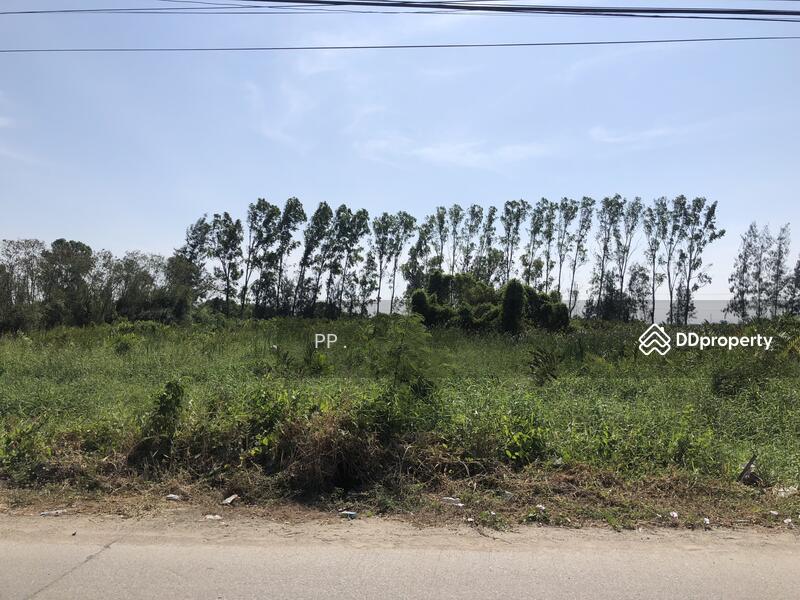 ขาย - บางปะกง, ฉะเชิงเทรา