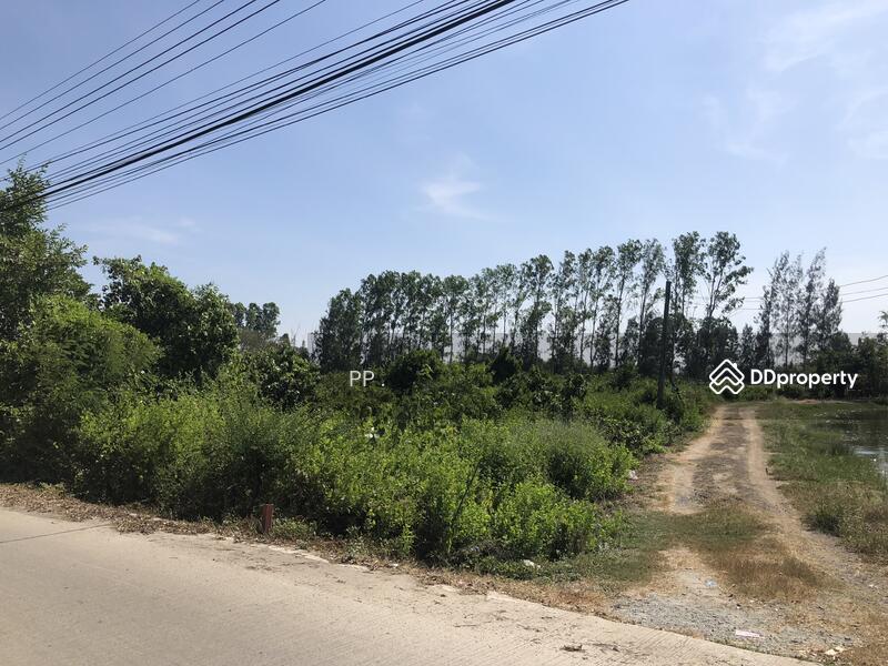 ขาย - บางปะกง, ฉะเชิงเทรา