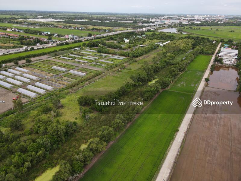 ขายถูกที่สุด! ที่ดิน ถนนสุวินทวงศ์ ข้าง Bamboo Yai –ใกล้ถนนใหญ่ เพียง 150 m. เนื้อที่ 63-1-63 ไร่ 