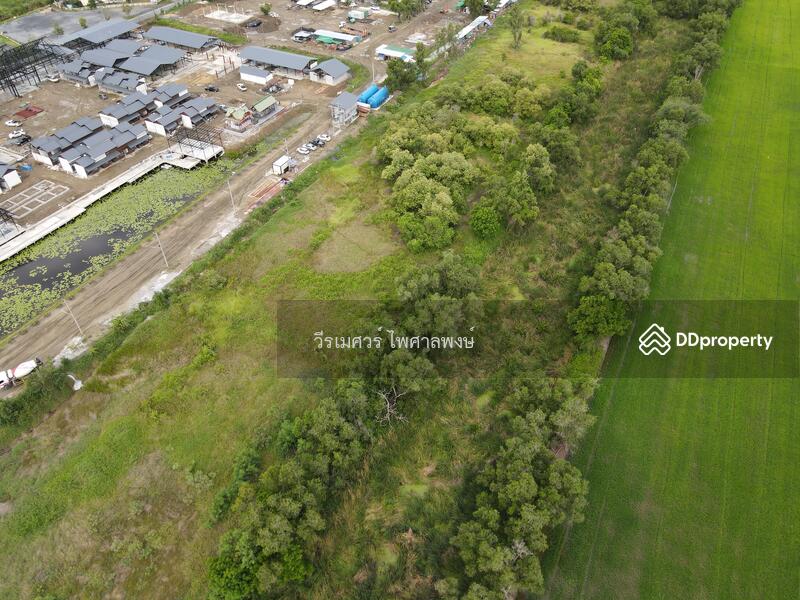 ขายถูกที่สุด! ที่ดิน ถนนสุวินทวงศ์ ข้าง Bamboo Yai –ใกล้ถนนใหญ่ เพียง 150 m. เนื้อที่ 63-1-63 ไร่ 