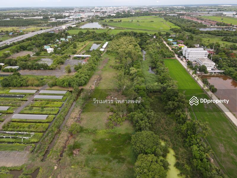 ขายถูกที่สุด! ที่ดิน ถนนสุวินทวงศ์ ข้าง Bamboo Yai –ใกล้ถนนใหญ่ เพียง 150 m. เนื้อที่ 63-1-63 ไร่ 