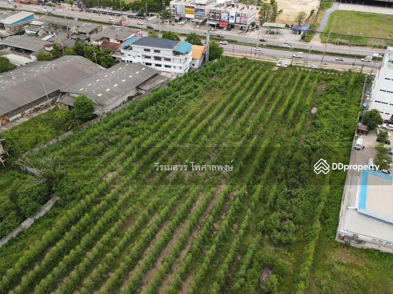 ขายที่ดิน ต.ธรรมศาลา อ.เมืองนครปฐม—ติดถนนเพชรเกษม (เหมาะสร้างหมู่บ้าน โครงการ แนวราบ) 15-1-19 ไร่ 