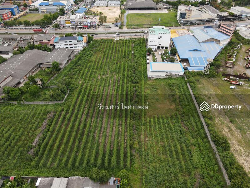 ขายที่ดิน ต.ธรรมศาลา อ.เมืองนครปฐม—ติดถนนเพชรเกษม (เหมาะสร้างหมู่บ้าน โครงการ แนวราบ) 15-1-19 ไร่ 