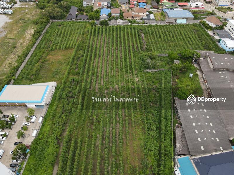 ขายที่ดิน ต.ธรรมศาลา อ.เมืองนครปฐม—ติดถนนเพชรเกษม (เหมาะสร้างหมู่บ้าน โครงการ แนวราบ) 15-1-19 ไร่ 