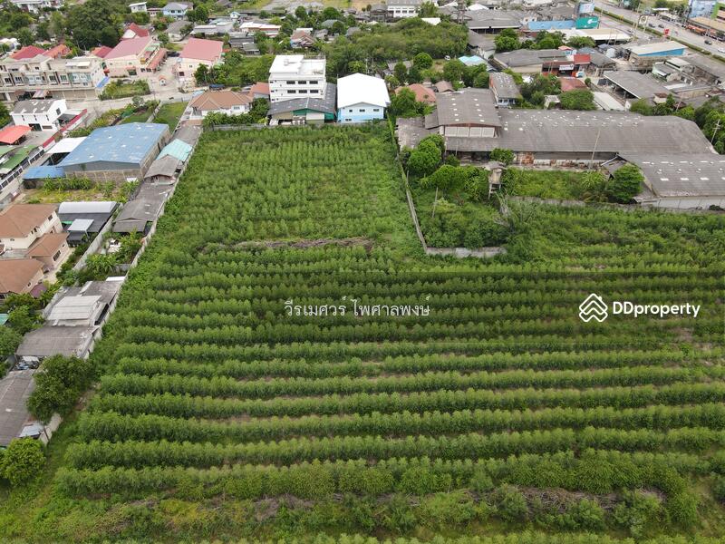 ขายที่ดิน ต.ธรรมศาลา อ.เมืองนครปฐม—ติดถนนเพชรเกษม (เหมาะสร้างหมู่บ้าน โครงการ แนวราบ) 15-1-19 ไร่ 