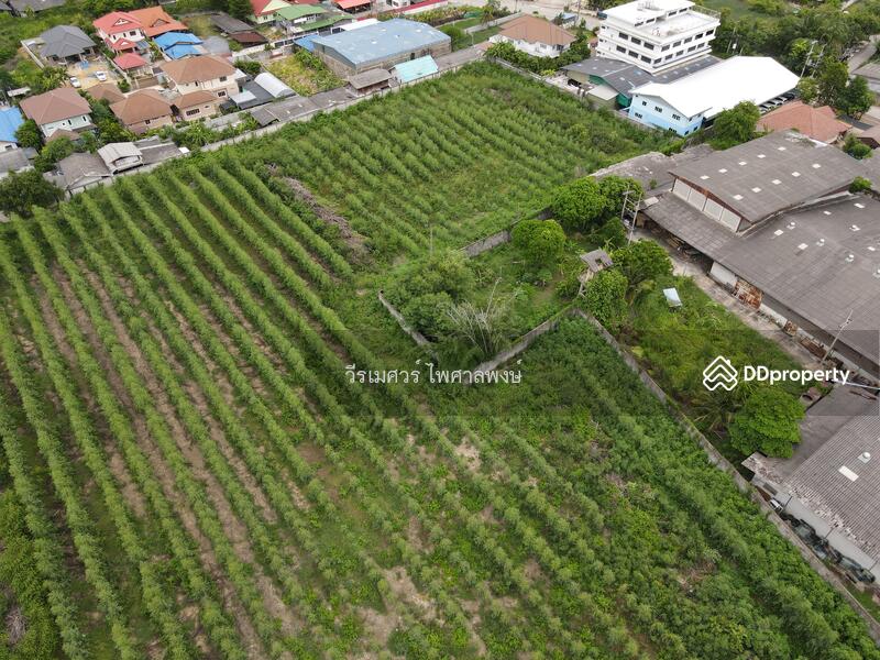 ขายที่ดิน ต.ธรรมศาลา อ.เมืองนครปฐม—ติดถนนเพชรเกษม (เหมาะสร้างหมู่บ้าน โครงการ แนวราบ) 15-1-19 ไร่