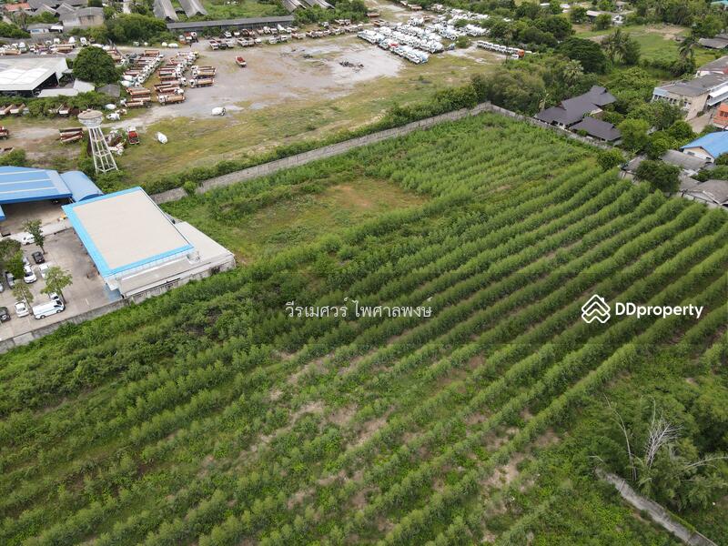 ขายที่ดิน ต.ธรรมศาลา อ.เมืองนครปฐม—ติดถนนเพชรเกษม (เหมาะสร้างหมู่บ้าน โครงการ แนวราบ) 15-1-19 ไร่