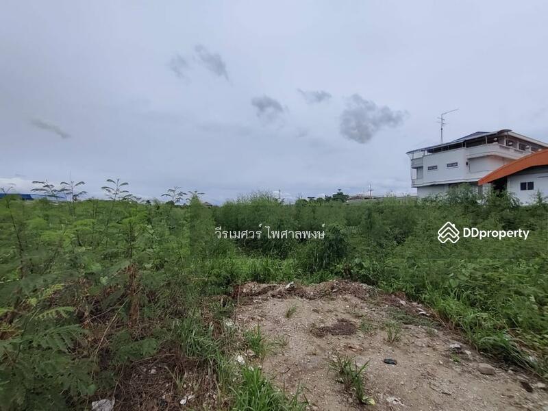 ขายที่ดิน ต.ธรรมศาลา อ.เมืองนครปฐม—ติดถนนเพชรเกษม (เหมาะสร้างหมู่บ้าน โครงการ แนวราบ) 15-1-19 ไร่