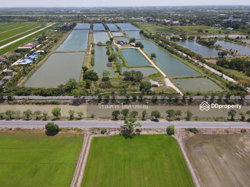 ขายถูก! ที่ดินลำลูกกา—ใกล้ถนนลำลูกกา 700m. จ.ปทุมธานี เนื้อที่ 184-3-94 ไร่ 