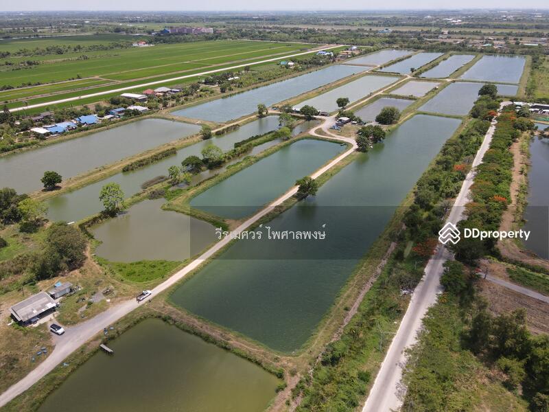 ขายถูก! ที่ดินลำลูกกา—ใกล้ถนนลำลูกกา 700m. จ.ปทุมธานี เนื้อที่ 184-3-94 ไร่ 