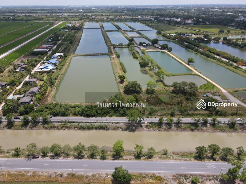 ขายถูก! ที่ดินลำลูกกา—ใกล้ถนนลำลูกกา 700m. จ.ปทุมธานี เนื้อที่ 184-3-94 ไร่ 