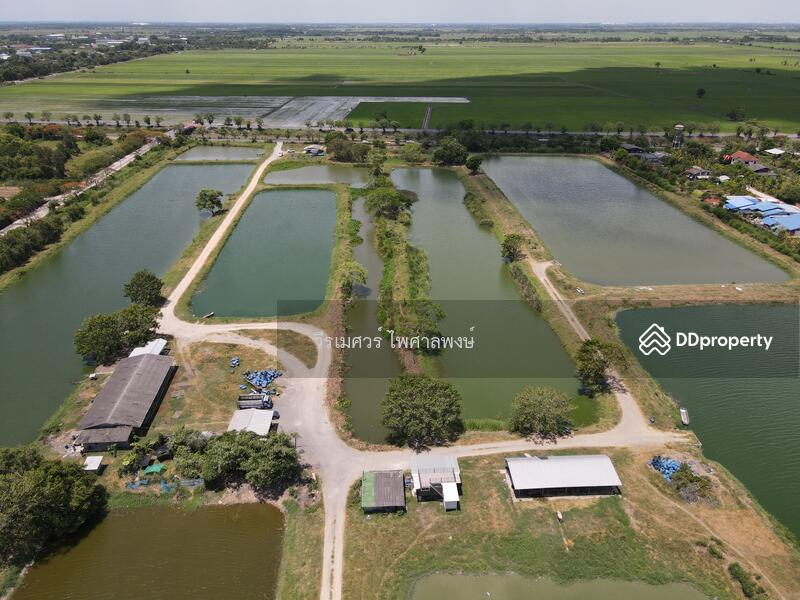 ขายถูก! ที่ดินลำลูกกา—ใกล้ถนนลำลูกกา 700m. จ.ปทุมธานี เนื้อที่ 184-3-94 ไร่ 