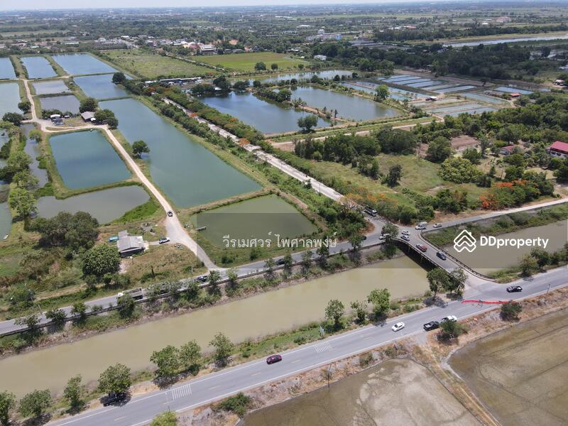 ขายถูก! ที่ดินลำลูกกา—ใกล้ถนนลำลูกกา 700m. จ.ปทุมธานี เนื้อที่ 184-3-94 ไร่ 