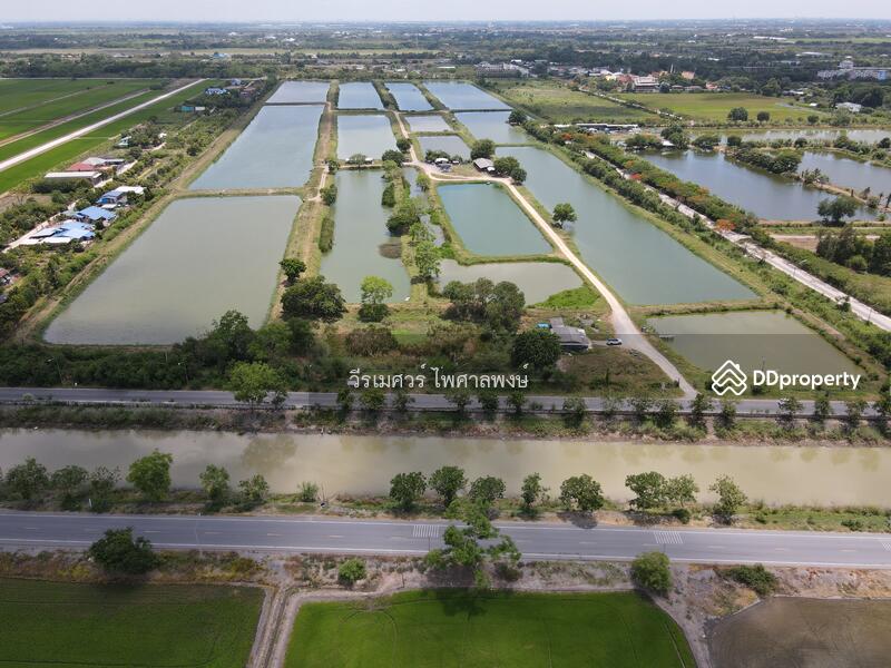 ขายถูก! ที่ดินลำลูกกา—ใกล้ถนนลำลูกกา 700m. จ.ปทุมธานี เนื้อที่ 184-3-94 ไร่ 