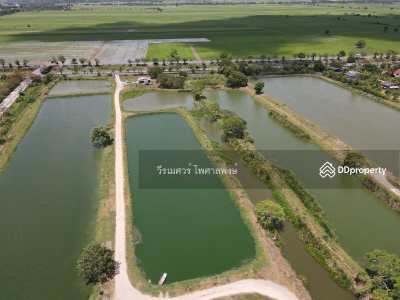 ขายถูก! ที่ดินลำลูกกา—ใกล้ถนนลำลูกกา 700m. จ.ปทุมธานี เนื้อที่ 184-3-94 ไร่ 