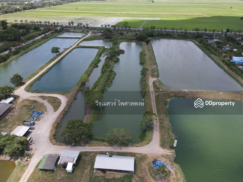 ขายถูก! ที่ดินลำลูกกา—ใกล้ถนนลำลูกกา 700m. จ.ปทุมธานี เนื้อที่ 184-3-94 ไร่ 