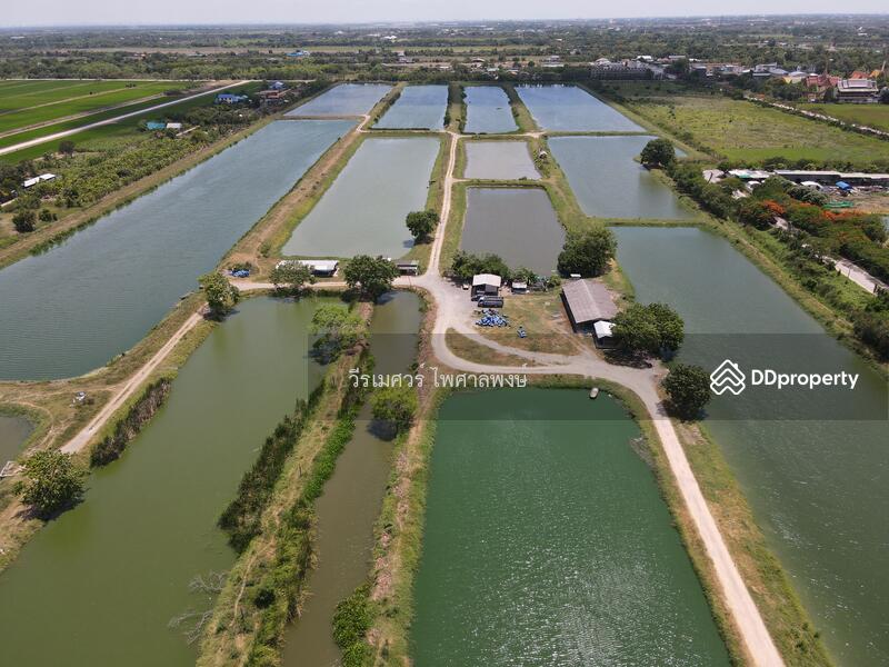 ขายถูก! ที่ดินลำลูกกา—ใกล้ถนนลำลูกกา 700m. จ.ปทุมธานี เนื้อที่ 184-3-94 ไร่ 