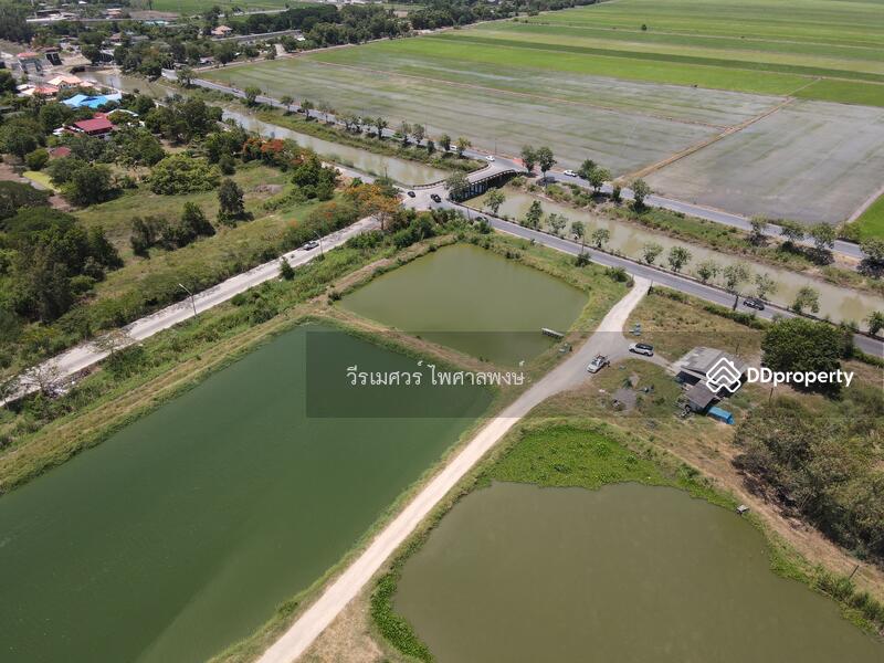 ขายถูก! ที่ดินลำลูกกา—ใกล้ถนนลำลูกกา 700m. จ.ปทุมธานี เนื้อที่ 184-3-94 ไร่ 