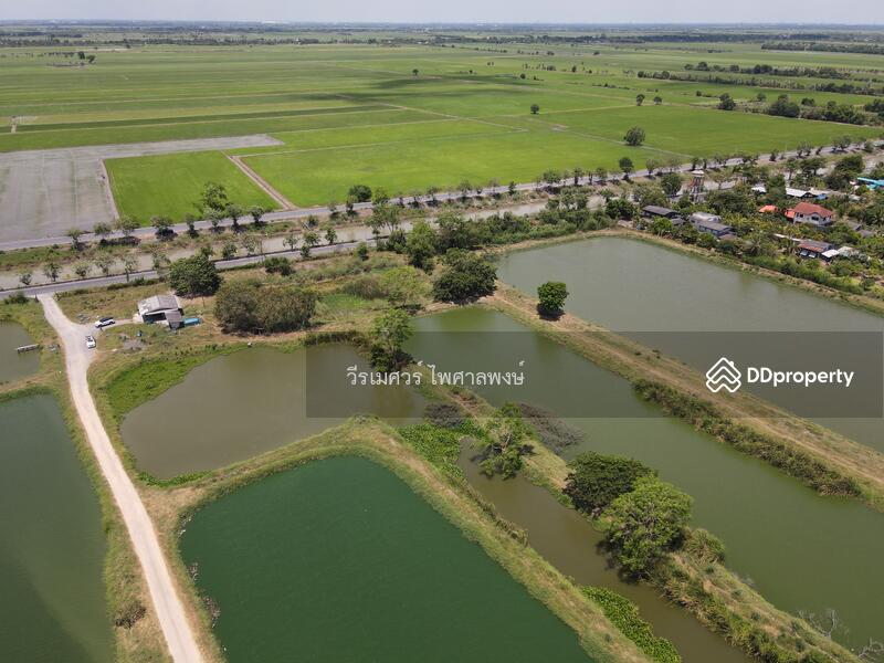 ขายถูก! ที่ดินลำลูกกา—ใกล้ถนนลำลูกกา 700m. จ.ปทุมธานี เนื้อที่ 184-3-94 ไร่ 