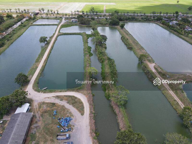 ขายถูก! ที่ดินลำลูกกา—ใกล้ถนนลำลูกกา 700m. จ.ปทุมธานี เนื้อที่ 184-3-94 ไร่ 