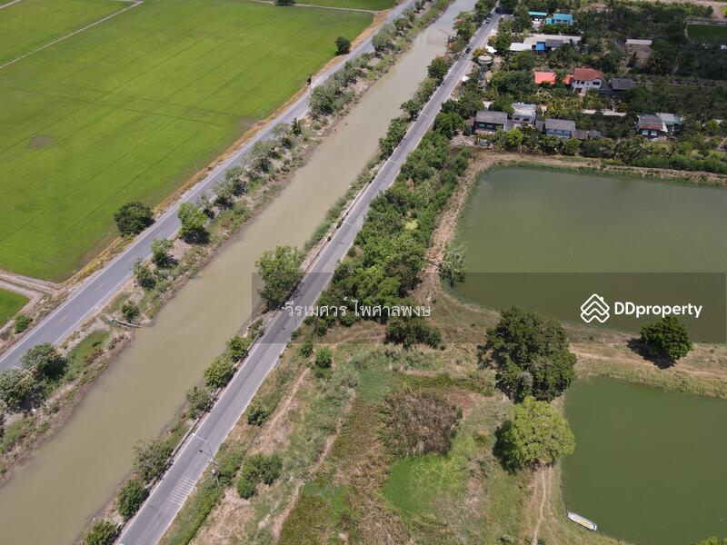 ขายถูก! ที่ดินลำลูกกา—ใกล้ถนนลำลูกกา 700m. จ.ปทุมธานี เนื้อที่ 184-3-94 ไร่ 