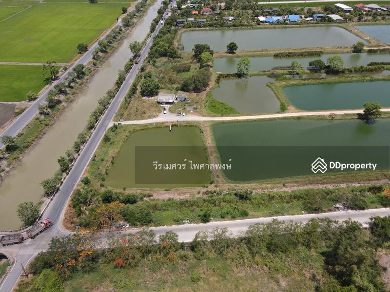 ขายถูก! ที่ดินลำลูกกา—ใกล้ถนนลำลูกกา 700m. จ.ปทุมธานี เนื้อที่ 184-3-94 ไร่ 