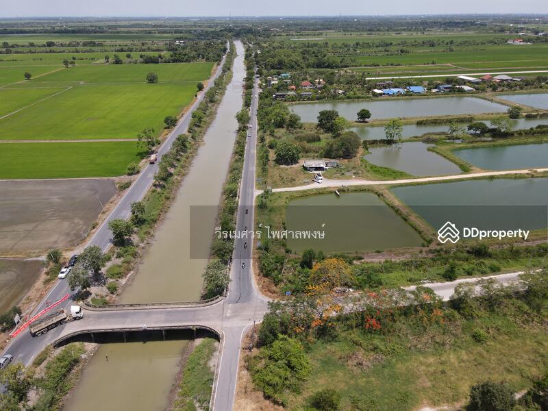 ขายถูก! ที่ดินลำลูกกา—ใกล้ถนนลำลูกกา 700m. จ.ปทุมธานี เนื้อที่ 184-3-94 ไร่ 