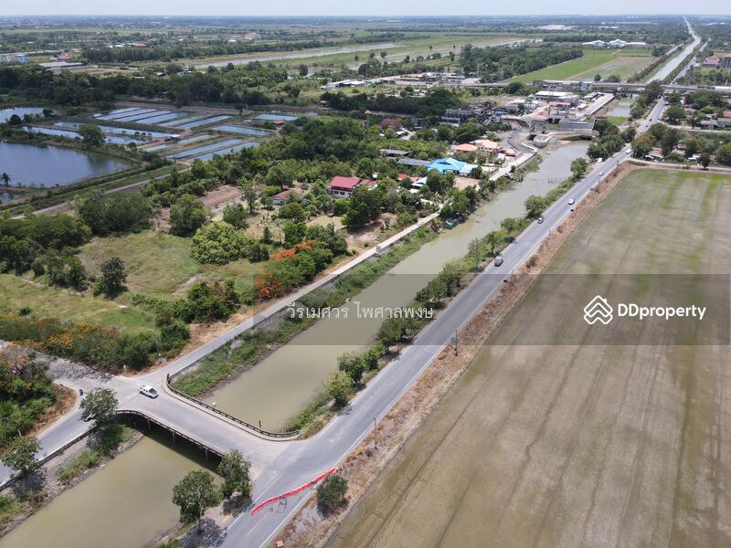 ขายถูก! ที่ดินลำลูกกา—ใกล้ถนนลำลูกกา 700m. จ.ปทุมธานี เนื้อที่ 184-3-94 ไร่ 