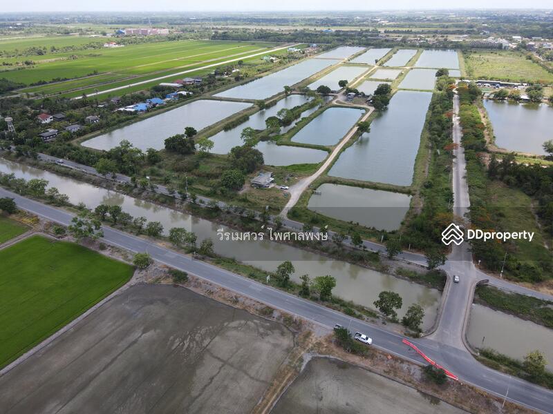 ขายถูก! ที่ดินลำลูกกา—ใกล้ถนนลำลูกกา 700m. จ.ปทุมธานี เนื้อที่ 184-3-94 ไร่ 