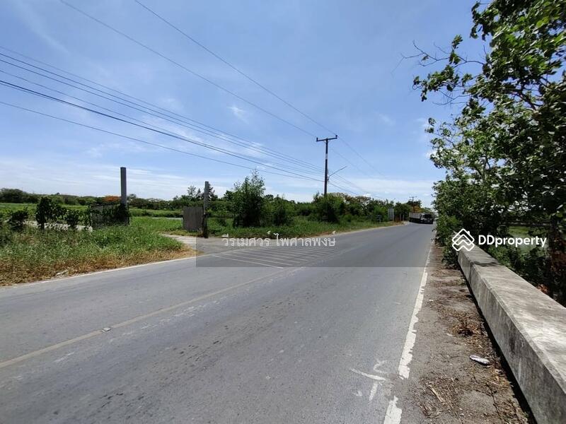 ขายถูก! ที่ดินลำลูกกา—ใกล้ถนนลำลูกกา 700m. จ.ปทุมธานี เนื้อที่ 184-3-94 ไร่ 