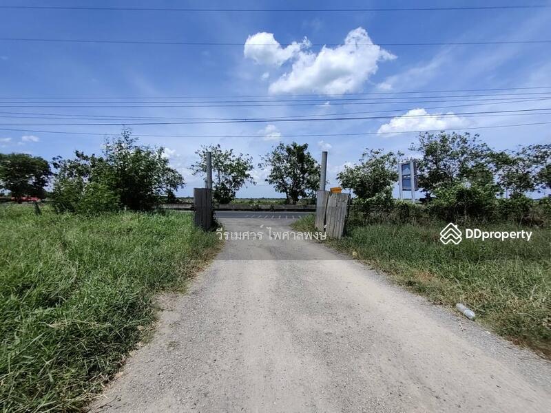 ขายถูก! ที่ดินลำลูกกา—ใกล้ถนนลำลูกกา 700m. จ.ปทุมธานี เนื้อที่ 184-3-94 ไร่ 