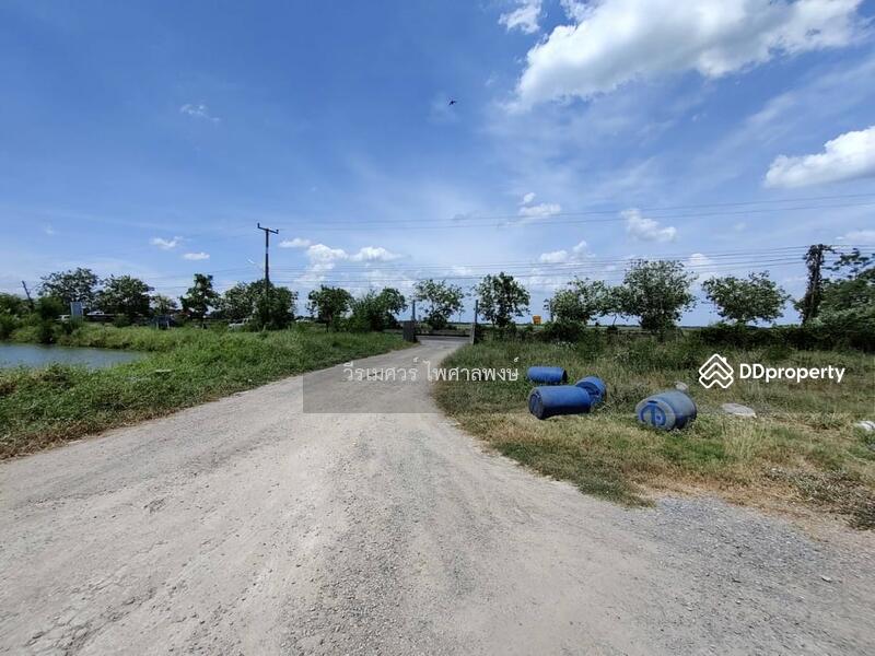 ขายถูก! ที่ดินลำลูกกา—ใกล้ถนนลำลูกกา 700m. จ.ปทุมธานี เนื้อที่ 184-3-94 ไร่ 