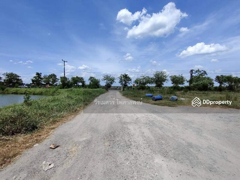 ขายถูก! ที่ดินลำลูกกา—ใกล้ถนนลำลูกกา 700m. จ.ปทุมธานี เนื้อที่ 184-3-94 ไร่ 