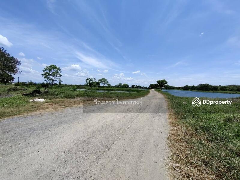 ขายถูก! ที่ดินลำลูกกา—ใกล้ถนนลำลูกกา 700m. จ.ปทุมธานี เนื้อที่ 184-3-94 ไร่ 