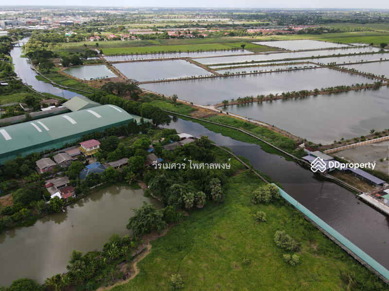 ขายถูก! ที่ดินลาดกระบัง ใกล้สุวรรณภูมิ Airport 8 Km.—ติดถนนกว้าง 6 เลน เนื้อที่ 544-2-98.4 ไร่ 