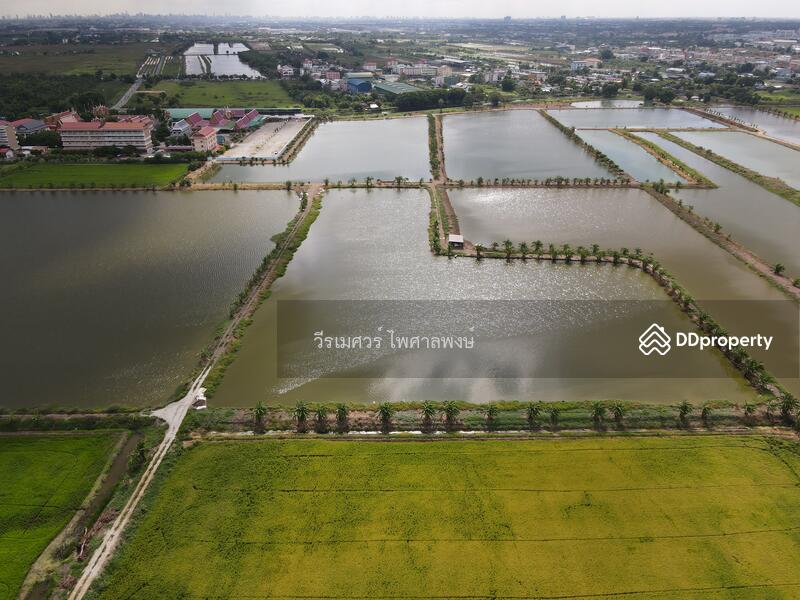 ขายถูก! ที่ดินลาดกระบัง ใกล้สุวรรณภูมิ Airport 8 Km.—ติดถนนกว้าง 6 เลน เนื้อที่ 544-2-98.4 ไร่